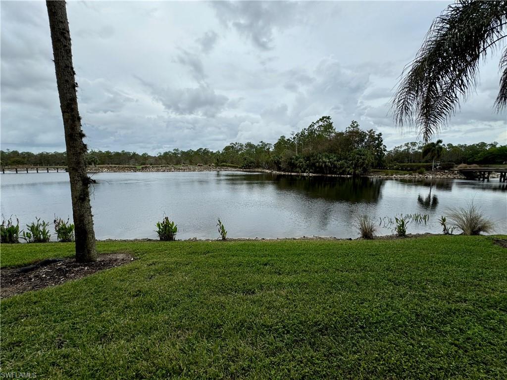 Water view