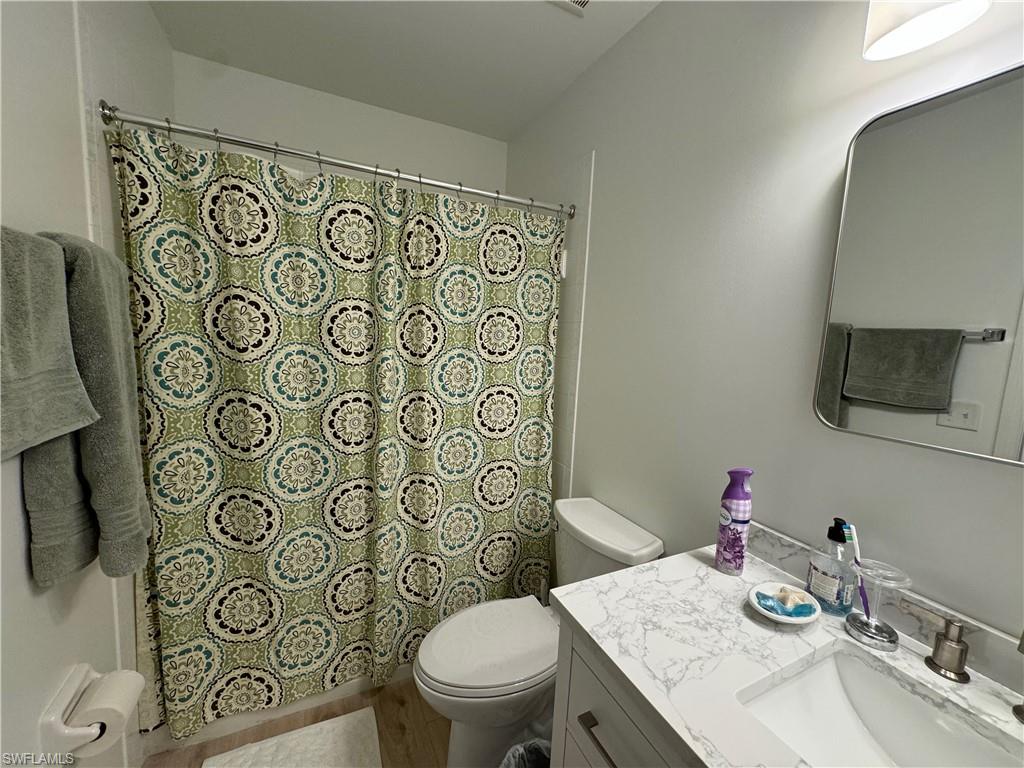Bathroom featuring vanity, toilet, and wood-type flooring