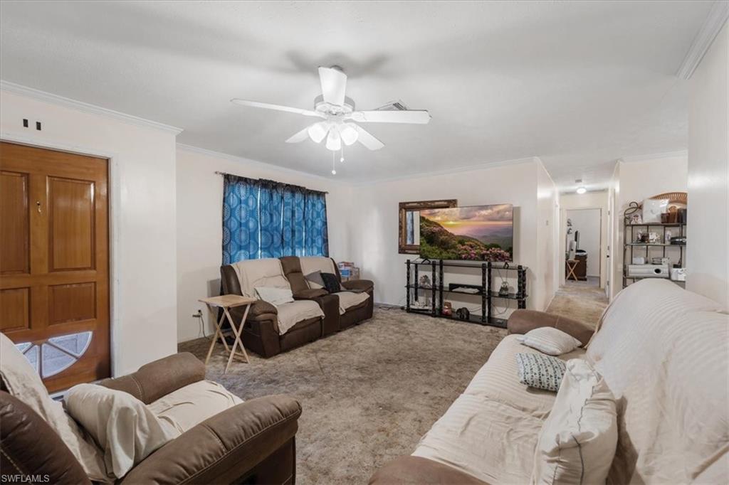 Carpeted living area with ceiling fan and crown molding