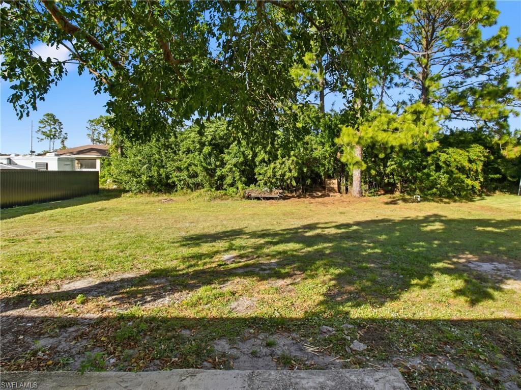 View of grassy yard