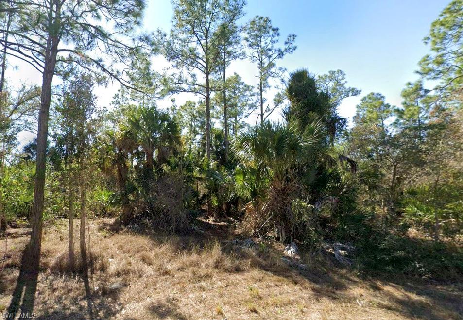 View of undeveloped land