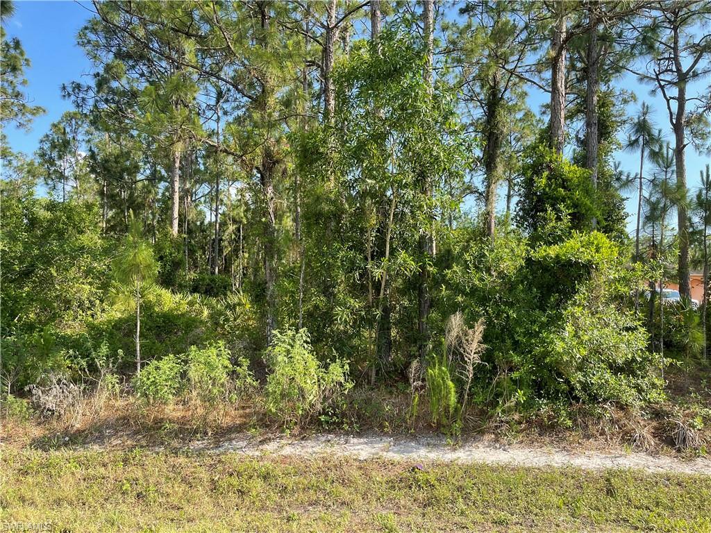 0 29TH Ave Everglades BLVD photo 6