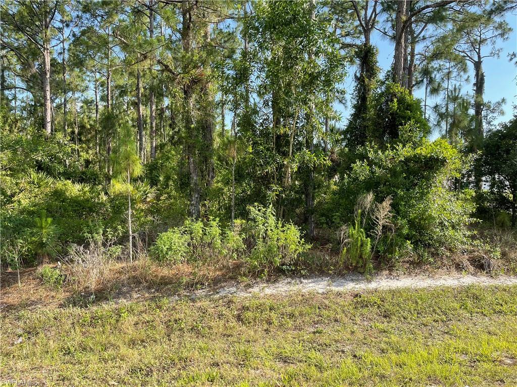 0 29TH Ave Everglades BLVD photo 7
