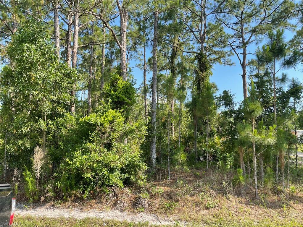 0 29TH Ave Everglades BLVD