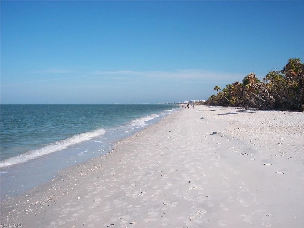 Sugar sand beach with  shells