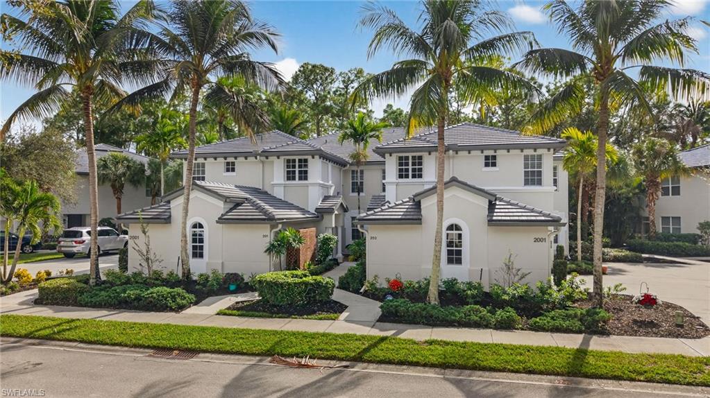 Sidewalks lined by palms
