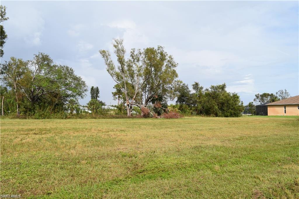 View of green lawn