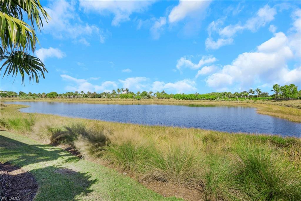 Water view