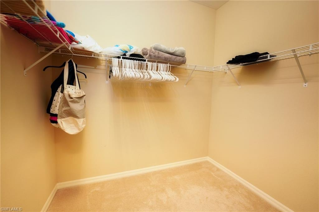Spacious closet featuring carpet floors