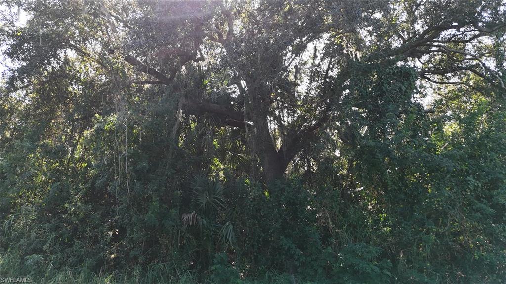 29359 Nottingham RD photo 10