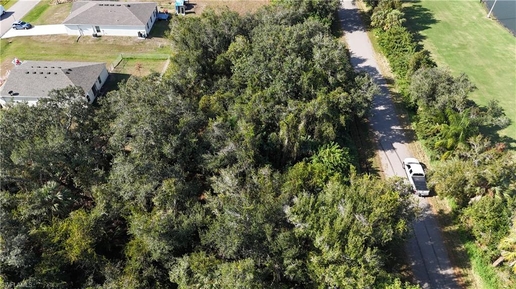 29359 Nottingham RD photo 14
