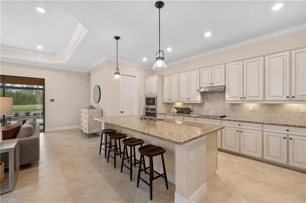 17791 Monaghan RUN