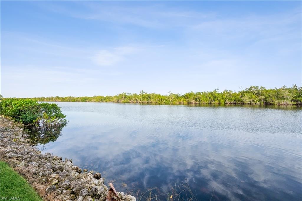 Water view