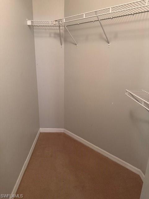 Spacious closet featuring carpet flooring