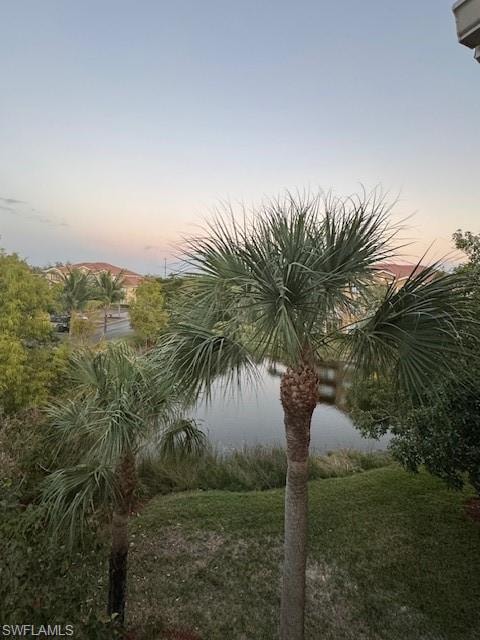 Water view