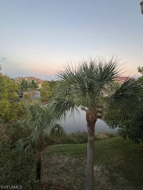 Water view