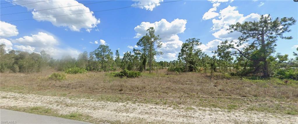 View of undeveloped land