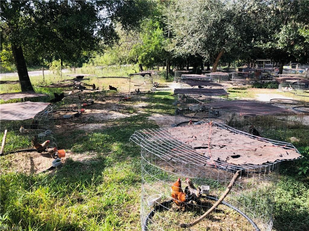 POULTRY HATCHERY