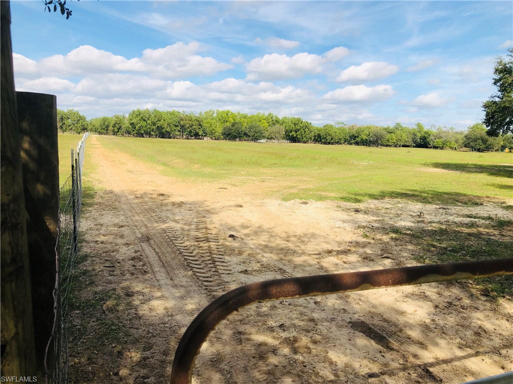 PASTURE
