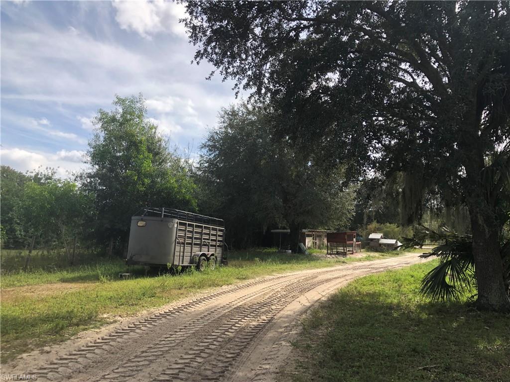 OAK LINED DRIVE