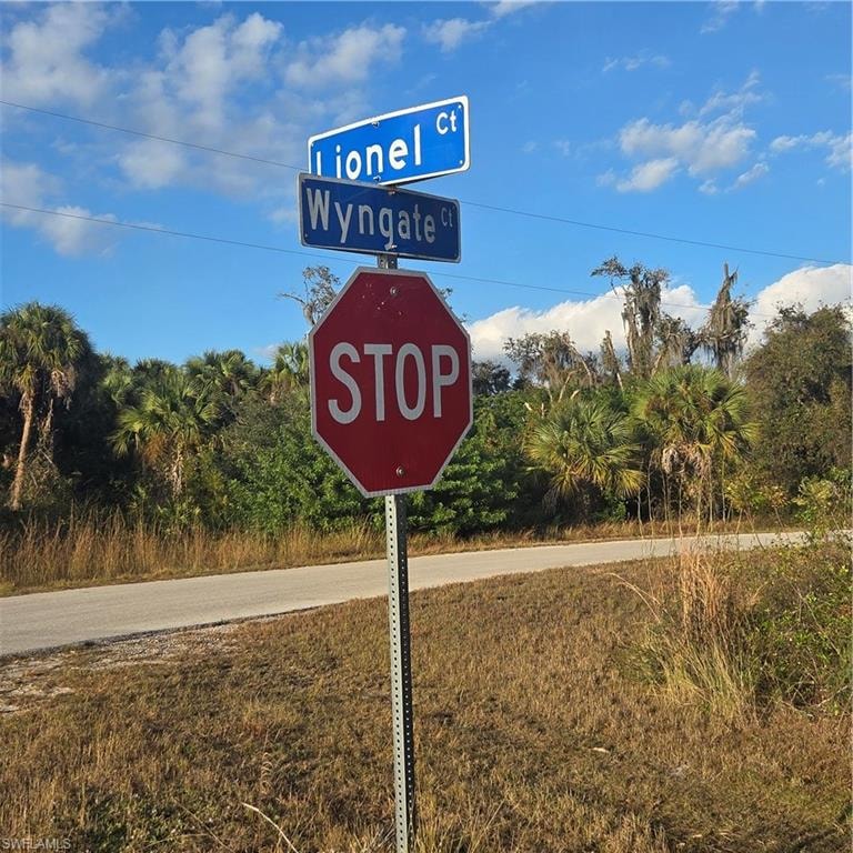 Intersection for accessing Lionel Ct