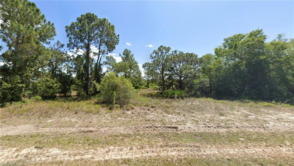 View of undeveloped land