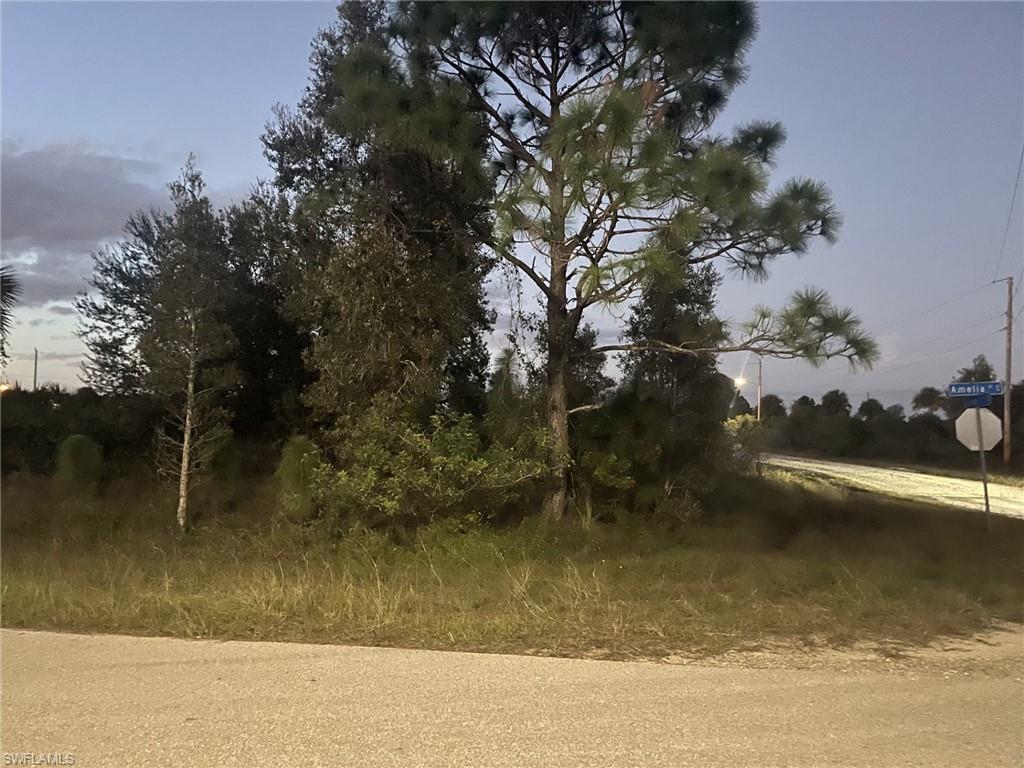 Corner and oversized lot
