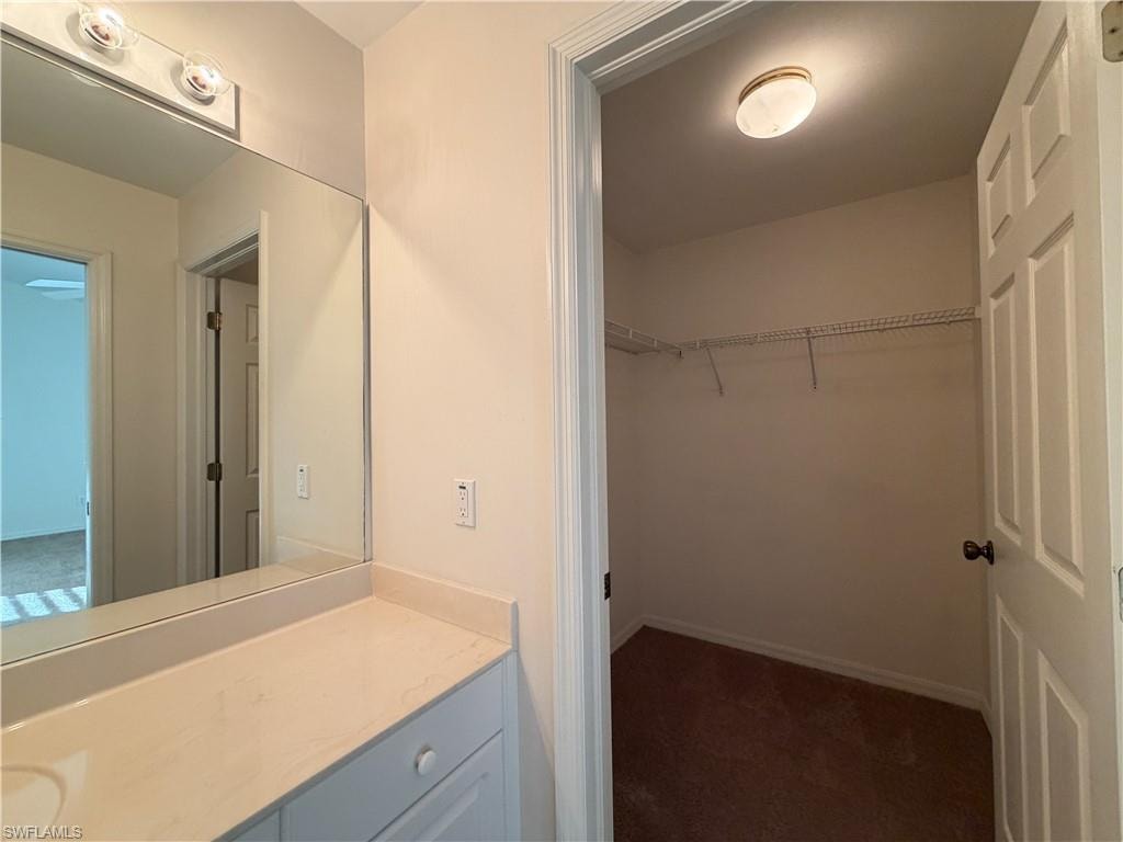 Bathroom featuring a walk in closet, vanity, and dark colored carpet