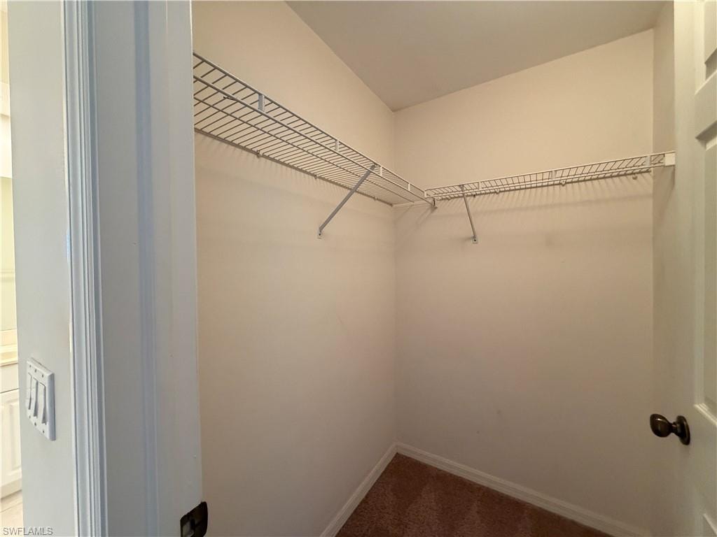 Spacious closet featuring carpet flooring