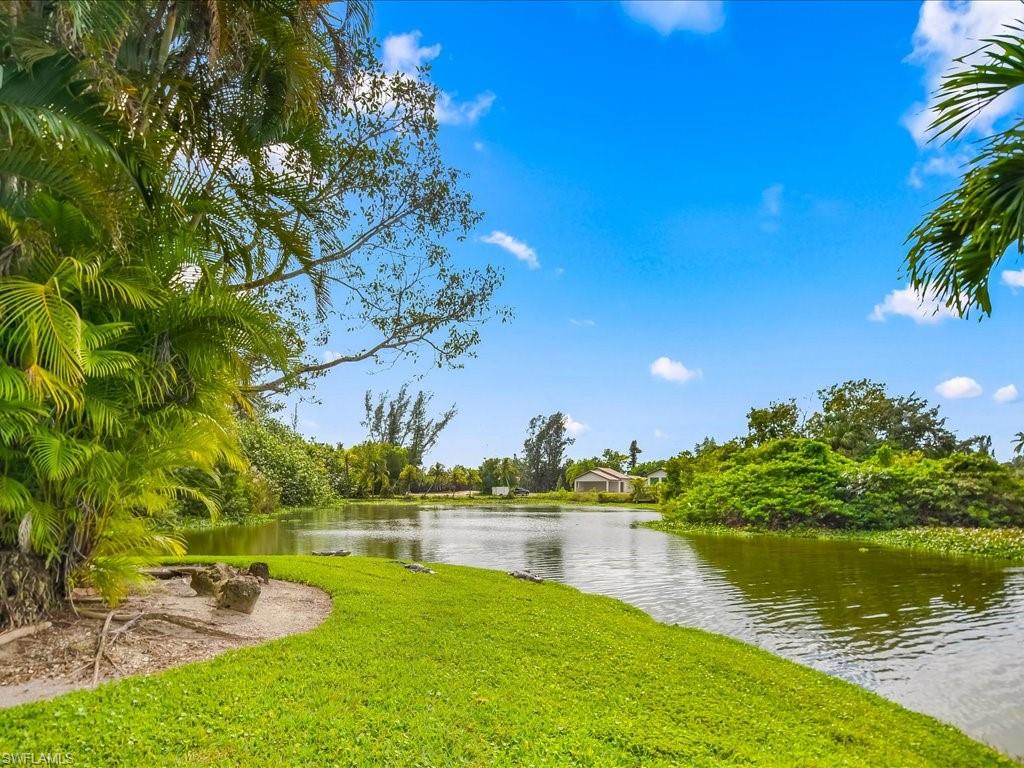 Water view