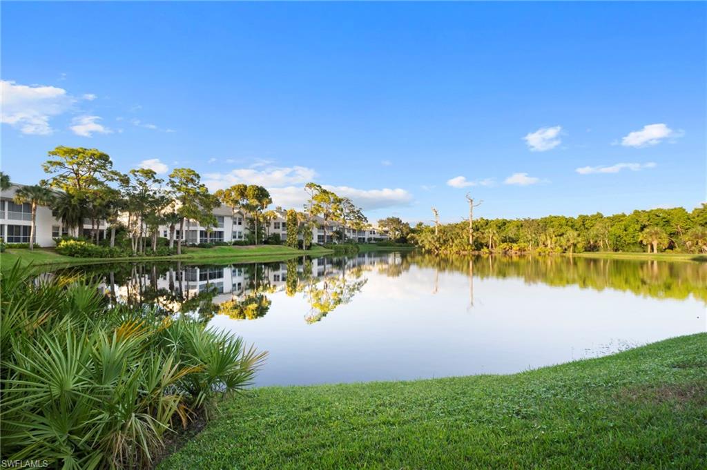 Panoramic lake view