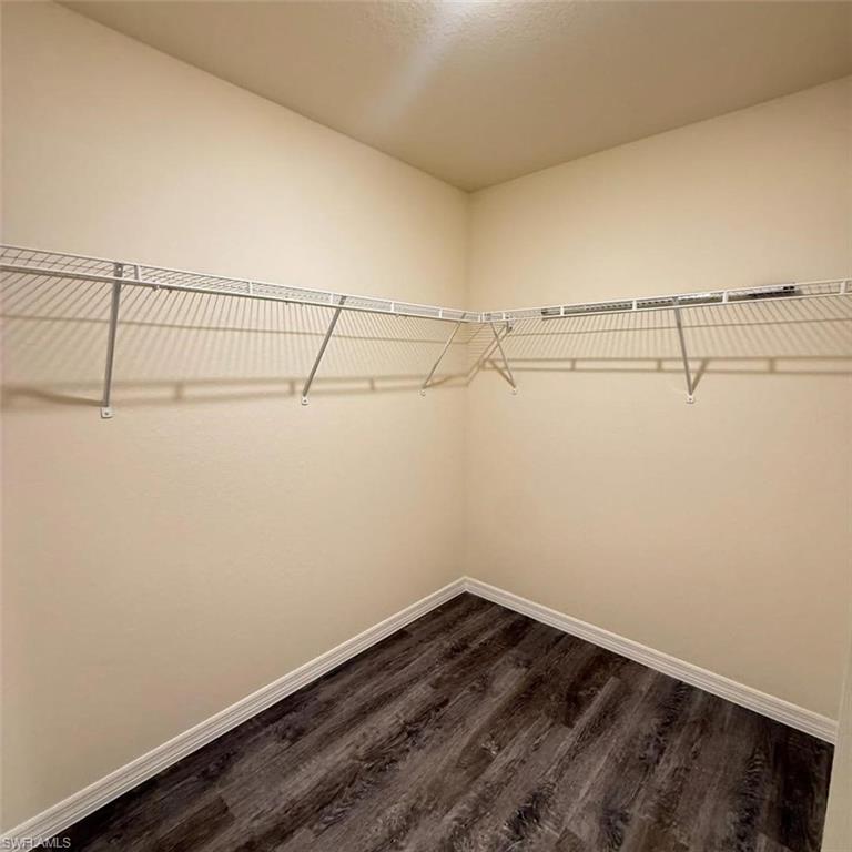 Walk in closet featuring dark wood-style flooring
