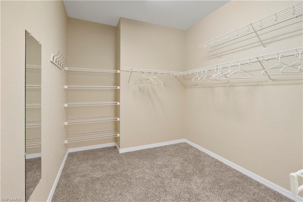 Spacious closet featuring light carpet