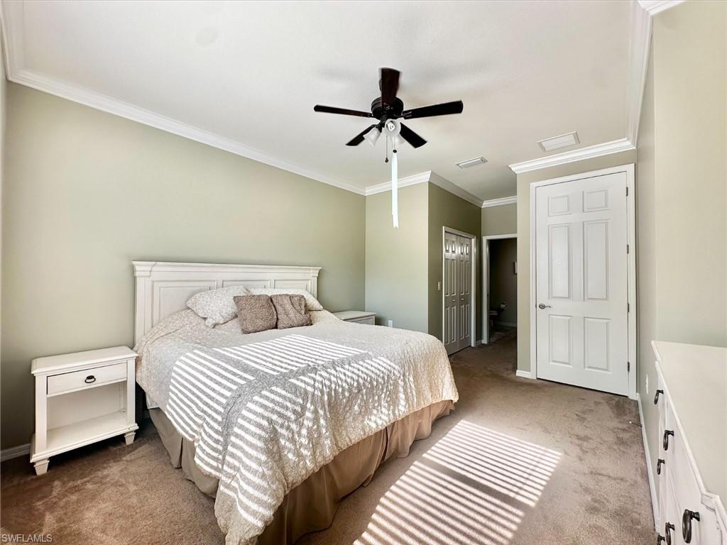 Carpeted bedroom with crown molding, a closet, and a ceiling fan