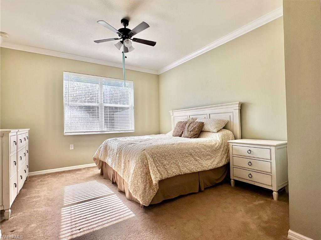 Bedroom featuring ornamental molding, a ceiling fan, and carpet floors