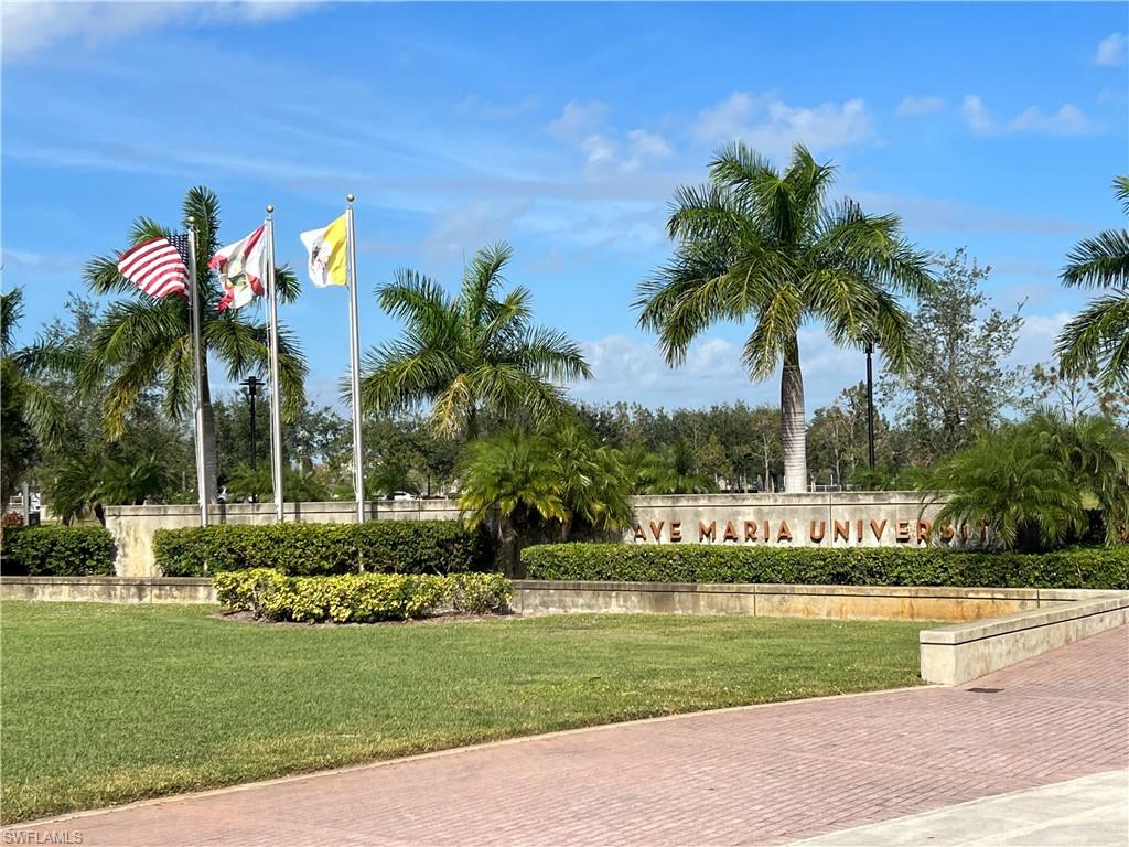 Ave Maria University