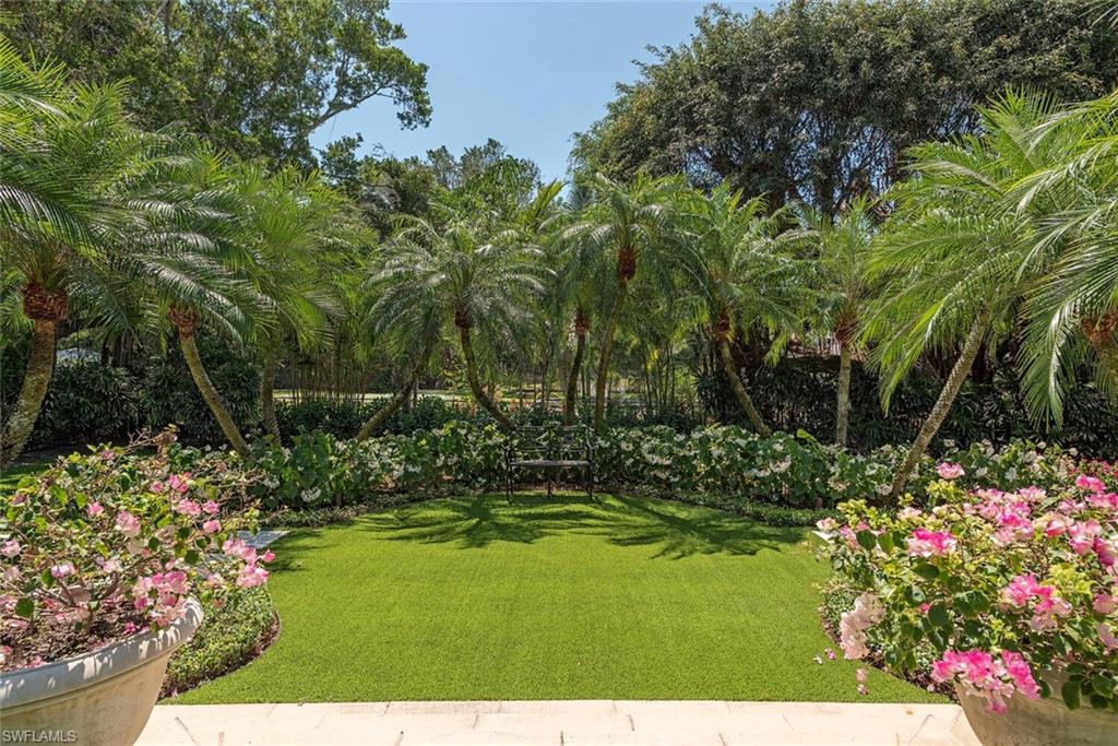 View of grassy yard