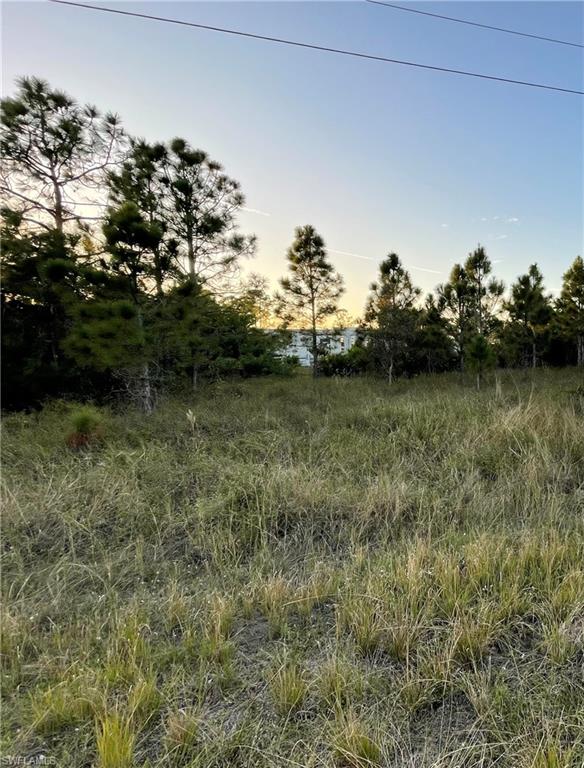 View of undeveloped land