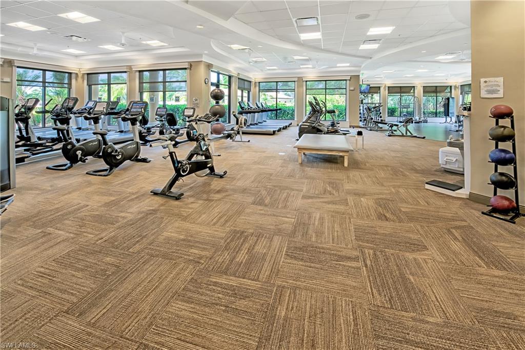 Exercise room with light carpet, a drop ceiling, and a wealth of natural light