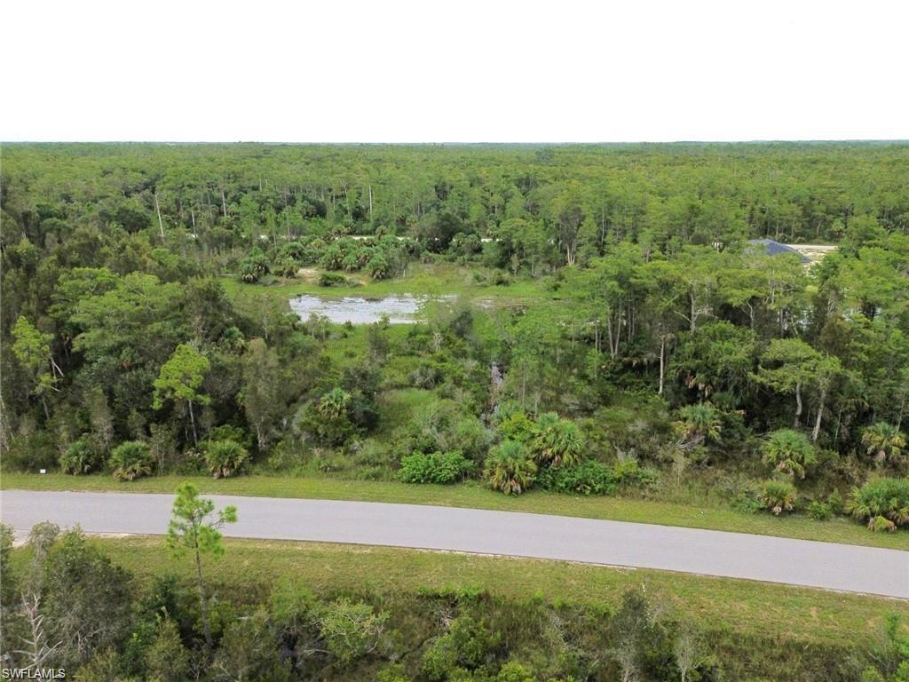Aerial view of a forest