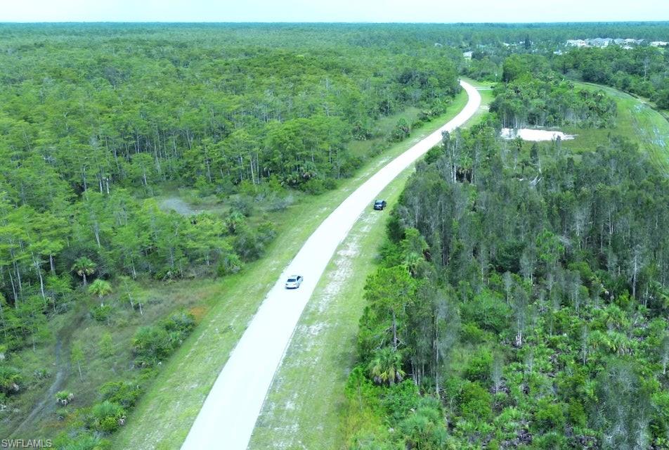 View of property location with a forest