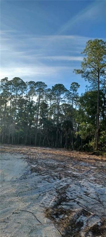Cleared south lot for new home
