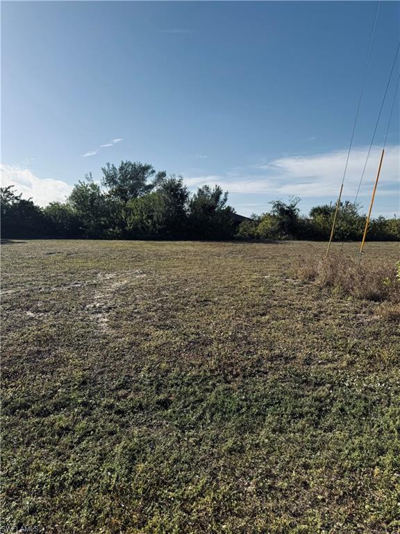View of yard with a view of rural / pastoral area