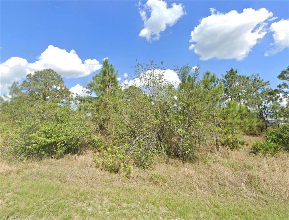 View of wooded area
