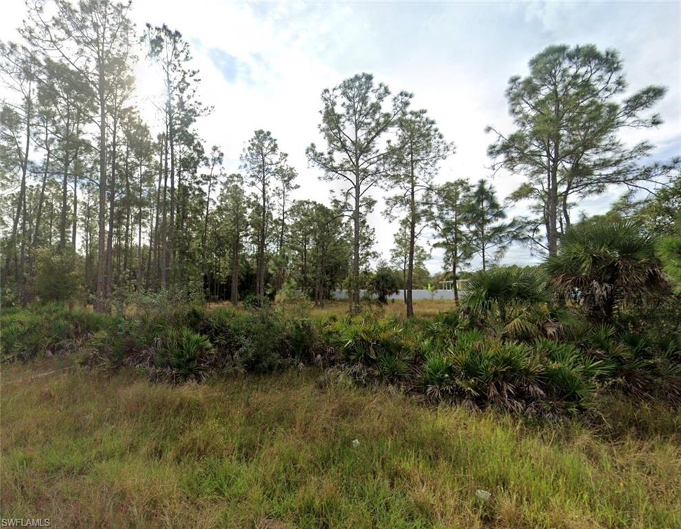 View of local wilderness