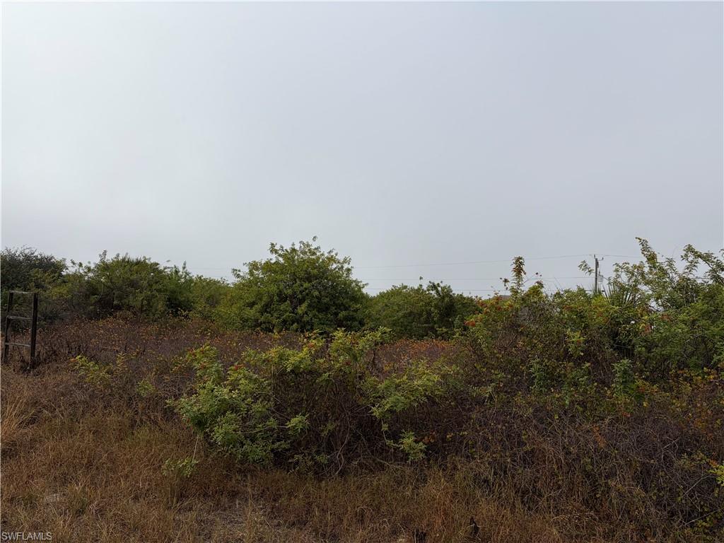 View of undeveloped land for sale