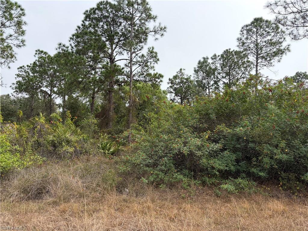 View of undeveloped land for sale