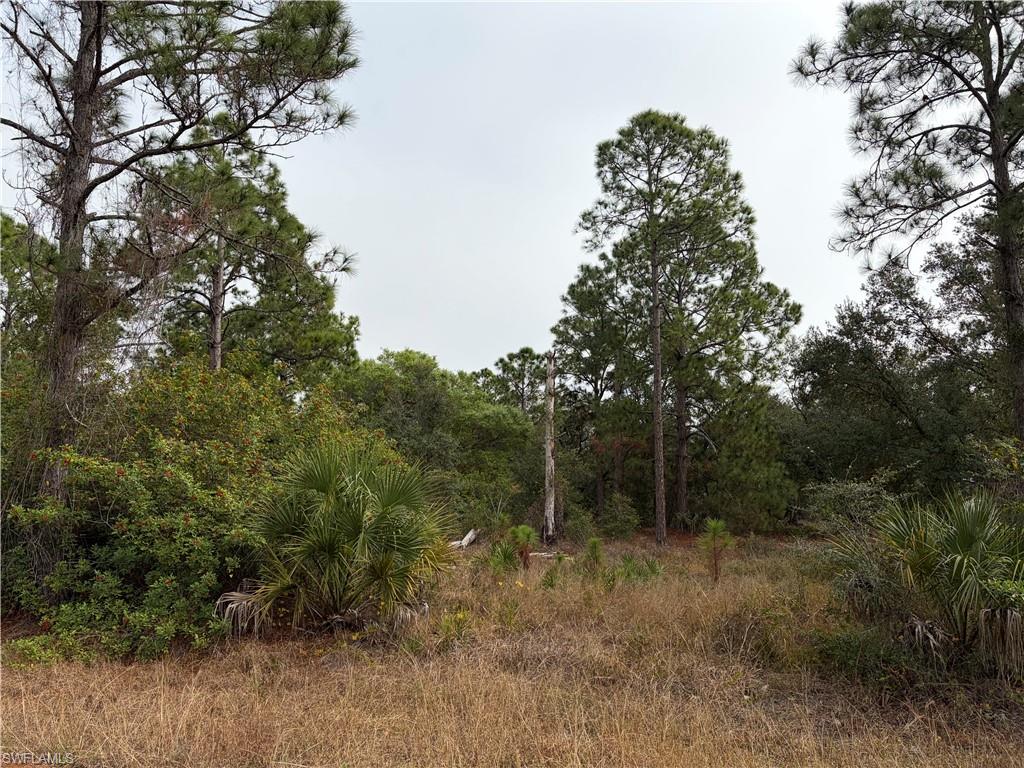 View of vacant lot for sale
