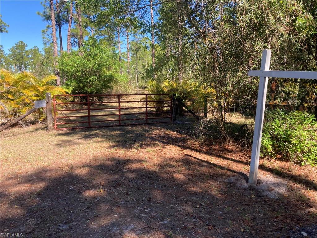 View of gate