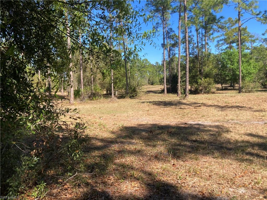 View of undeveloped land